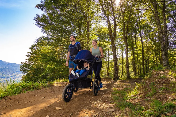 Family hiking a forest trail with the BOB Alterrain jogging stroller